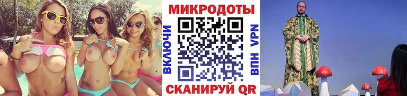 закладки Алзамай mega маркетплейс Псилоцибиновые грибы Psilocybine cubensis